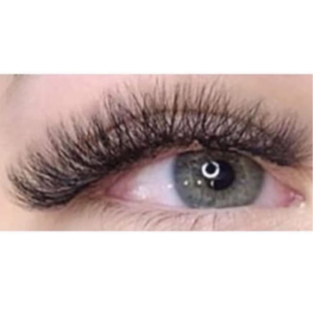 Lashes (Voluem)